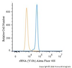 rRNA Antibody (Y10b), Alexa Fluor 488, Novus Biologicals 100 Tests; Alexa
